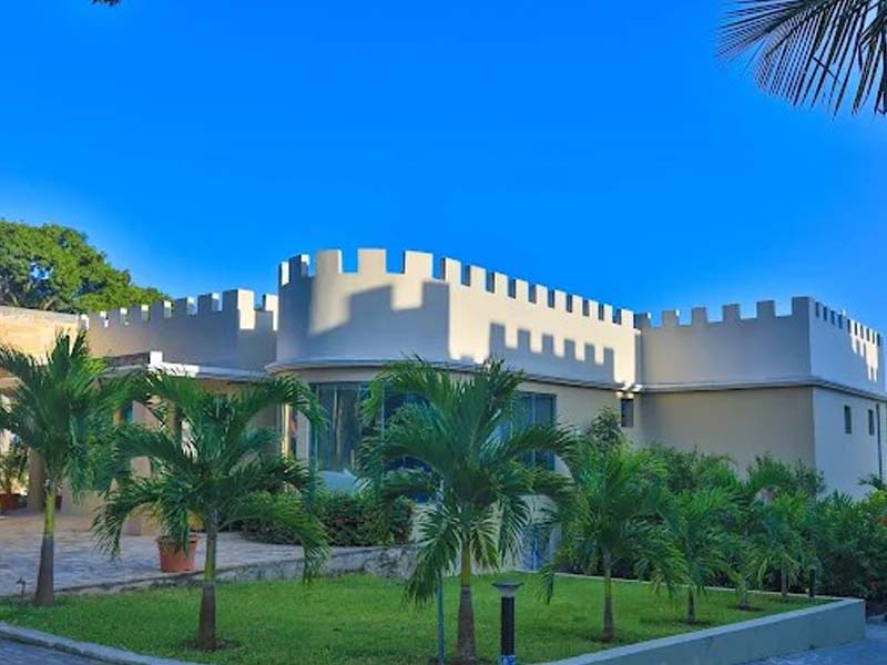 Dolphin Safari & Sandbank Excursion photo 1