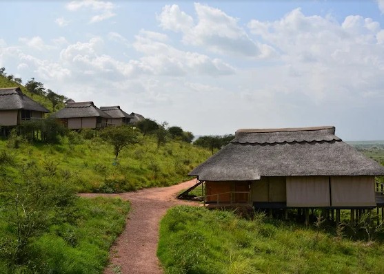 From Arusha to Serengeti National Park photo 1