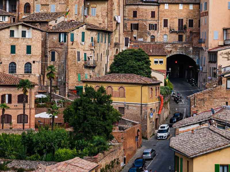 Stone Town & Jozani Forest photo 2