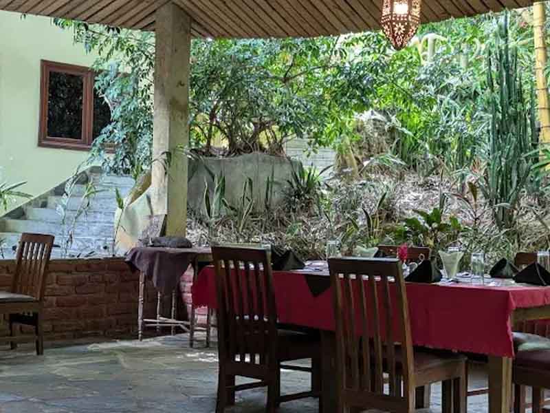 Mwanihana Forest Trek photo 1