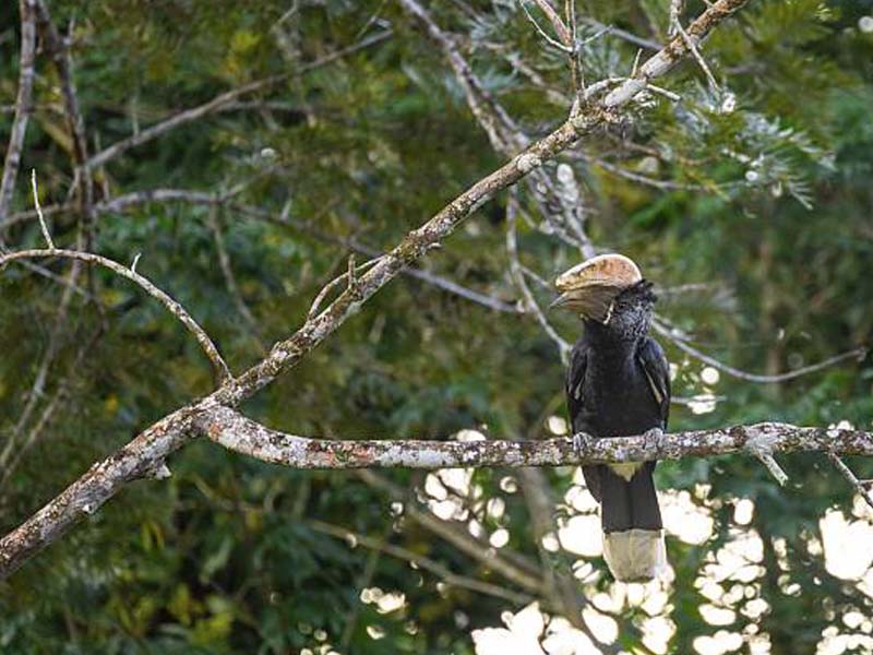 Day description photo 2