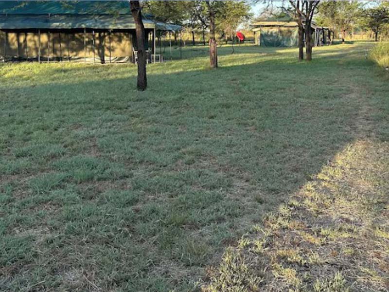From Arusha to Serengeti National Park photo 1
