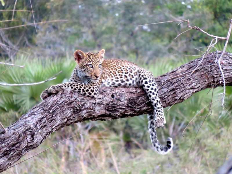 From Lake Natron  to Serengeti National Park photo 2
