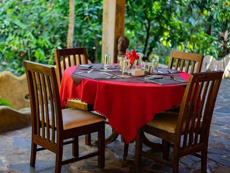 Forest Trek & Departure photo 1