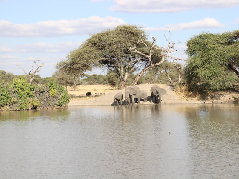 Tarangire National Park - Kilimanjaro International Airport (JRO) photo 2