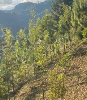 Sunrise Hike & Departure photo 2