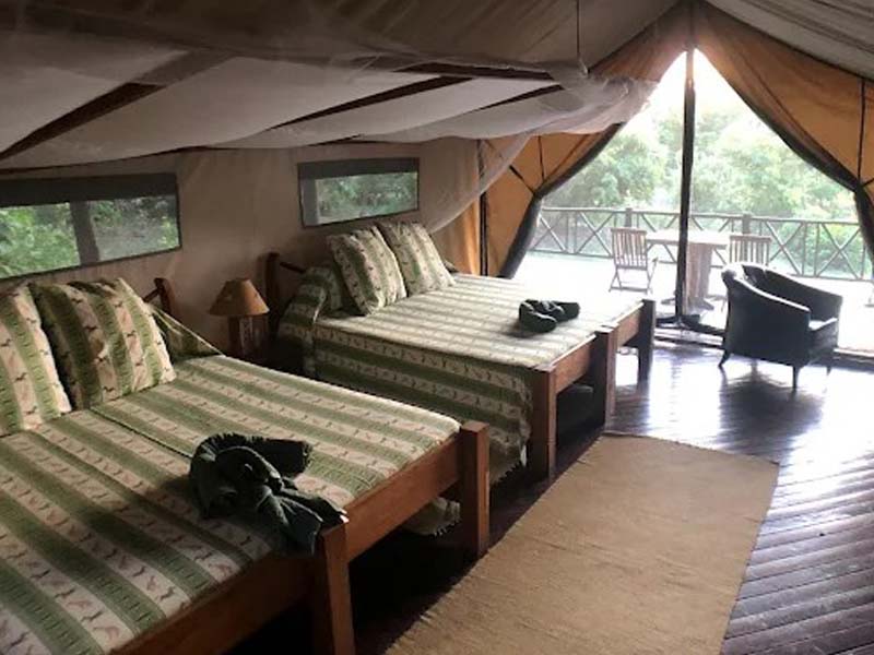 Dar es Salaam to Nyerere National Park( Selous) for evening boat tour in Rufiji River photo 2
