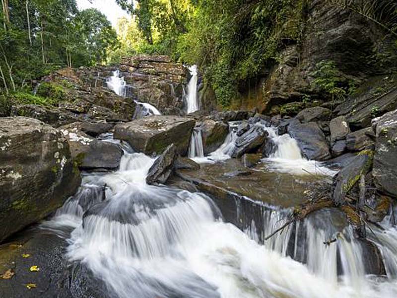 From Usambara to Usambara Mountains photo 1