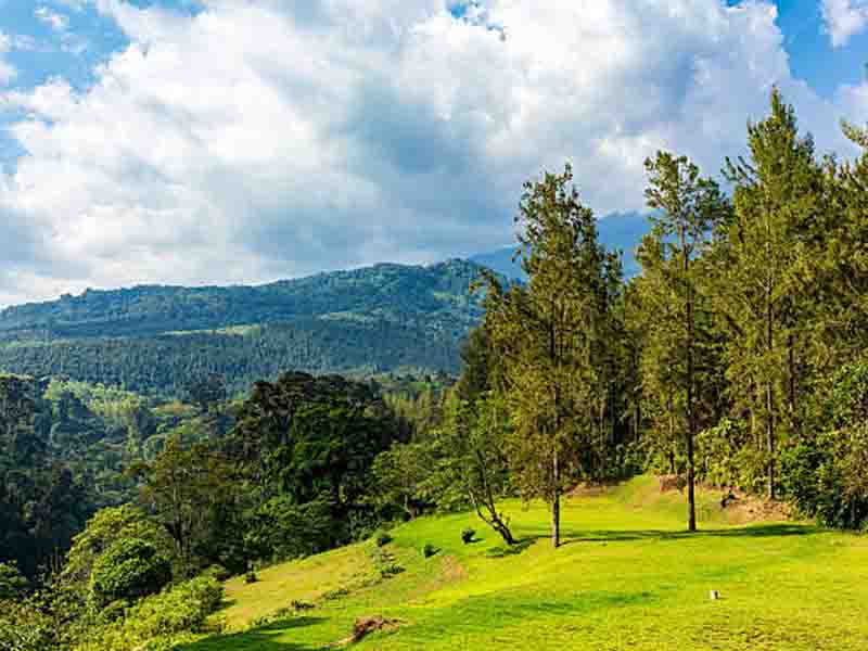 From Usambara to Usambara Mountains photo 2