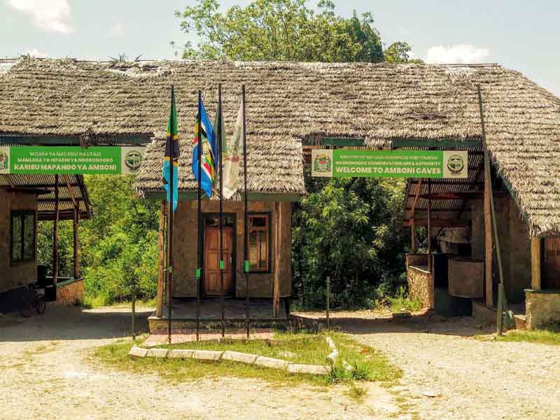 Amboni Caves Exploration & Departure photo 1