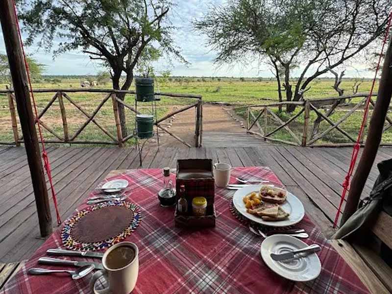Serengeti National Park (full day in Seronera) photo 2