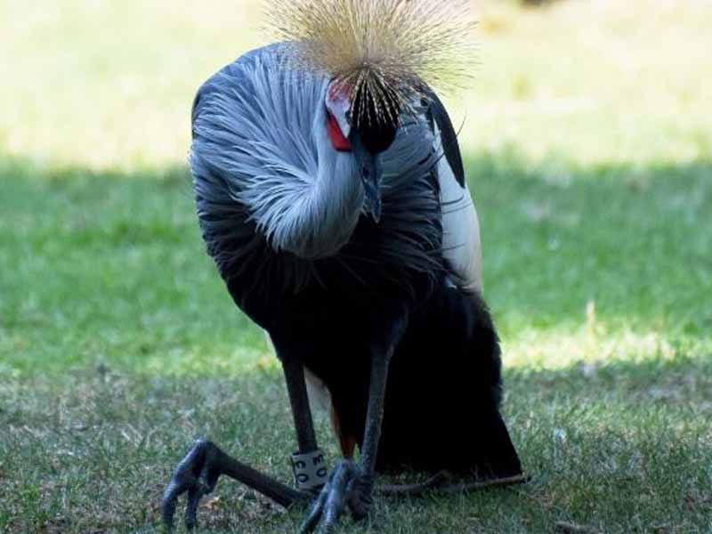 From Karatu to Ngorongoro Crater photo 1