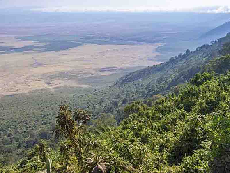 Day description photo 1