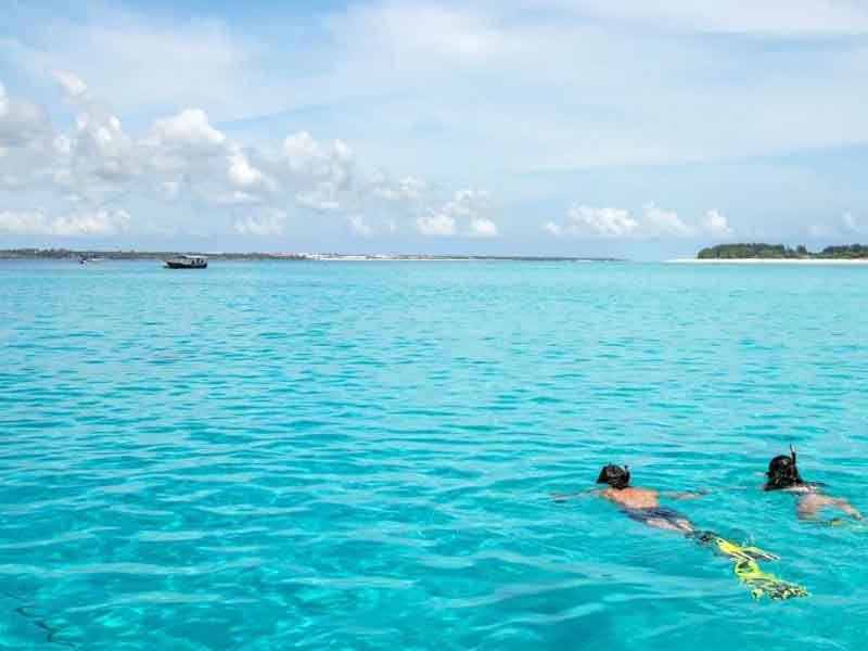 Snorkeling ( Mnemba Atoll ) & Sunset Dhow photo 1