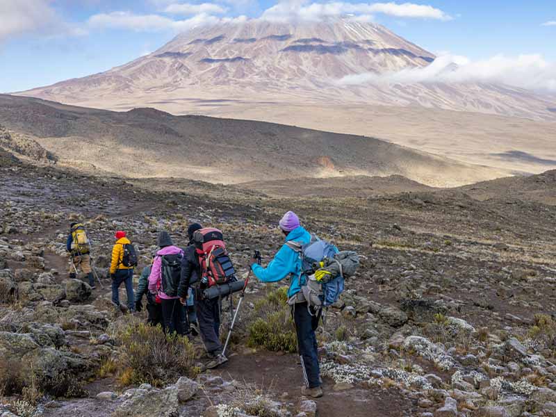 ASCENT TO UHURU PEAK AND DESCENT TO MILLENNIUM CAMP photo 1