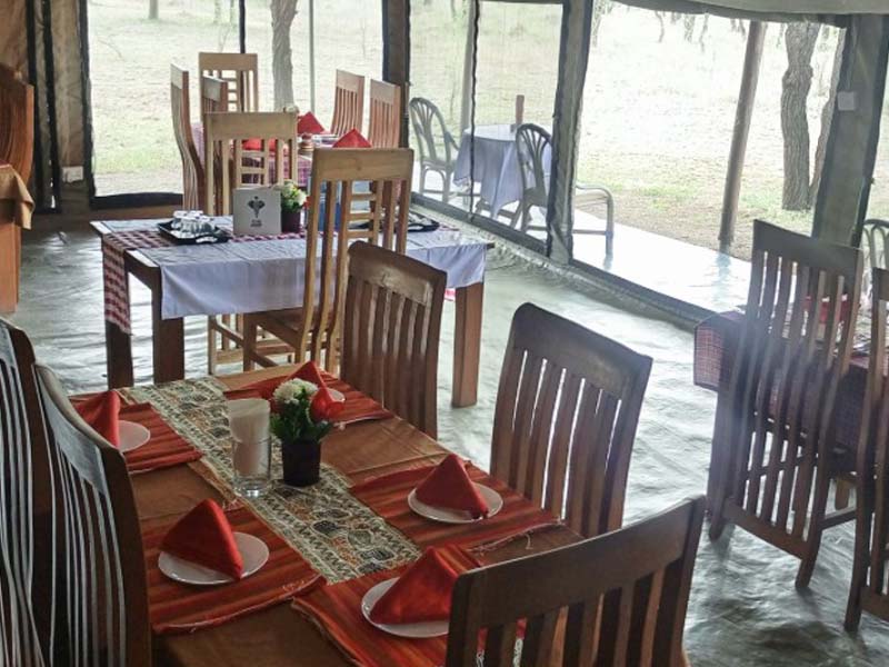 Serengeti National Park (Seronera ) Full Day photo 2