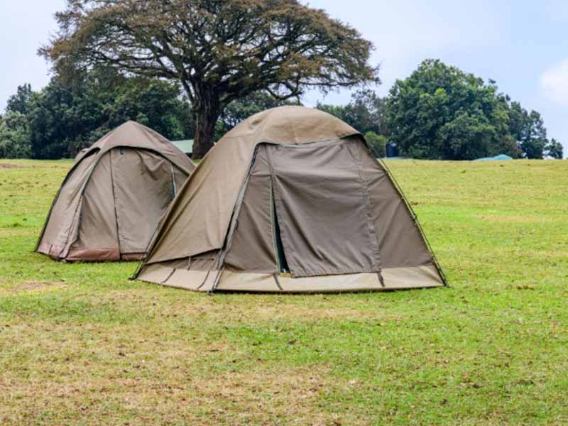 Serengeti National Park  - Ngorongoro Crater photo 2