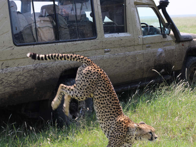 Ngorongoro Crater - Kilimanjaro International Airport (JRO) photo 1