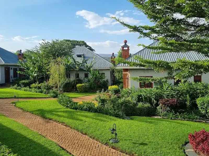 From Tarangire to Lake Manyara National Park photo 1