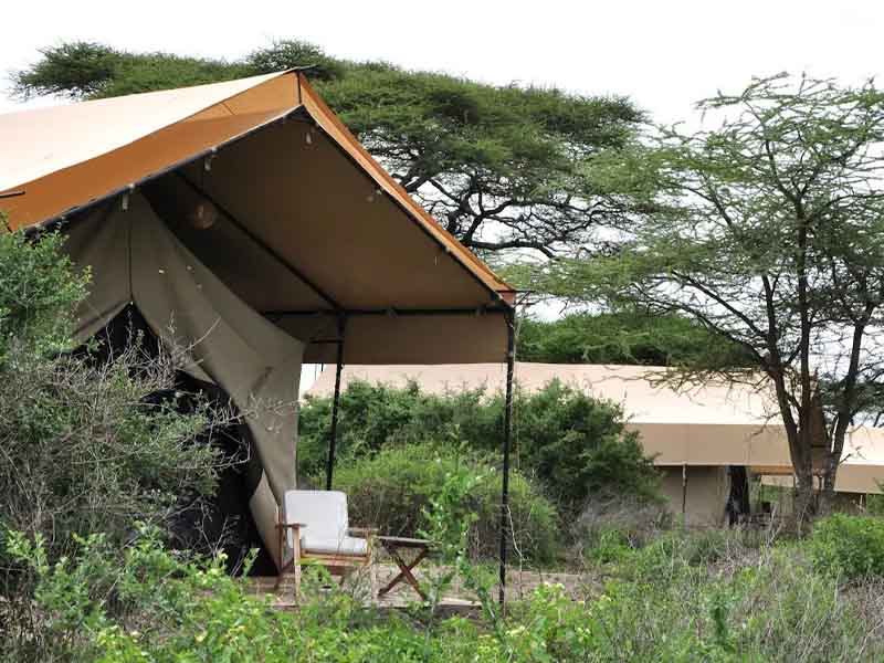 From Karatu to Ngorongoro Crater to Serengeti National Park photo 2