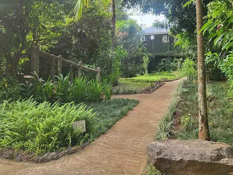 Udzungwa – Return to Dar es Salaam photo 2