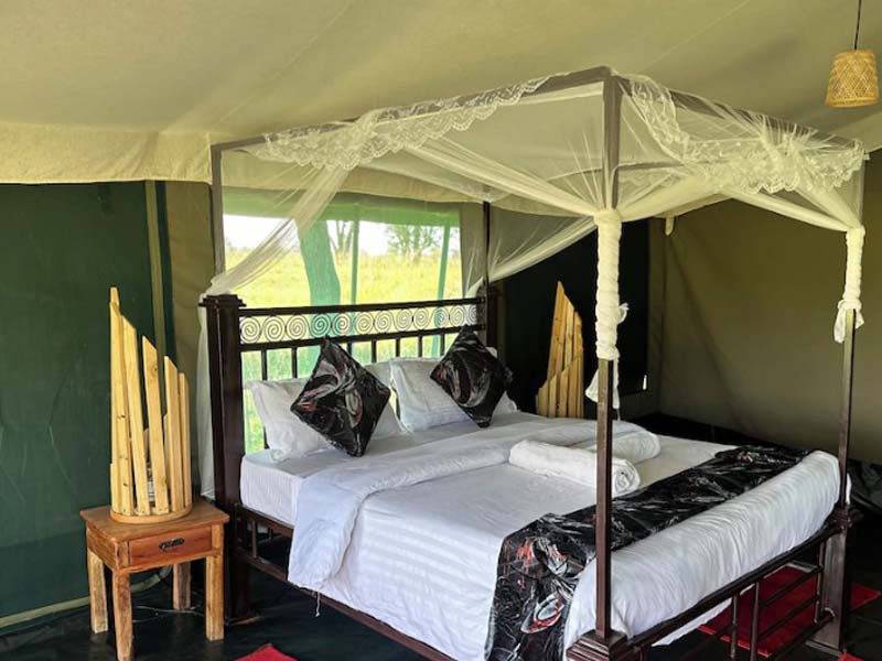 Serengeti Full-Day Game Drive photo 1