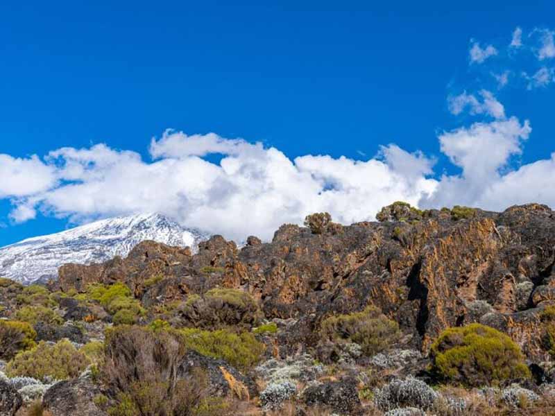 Shira Plateau photo 2