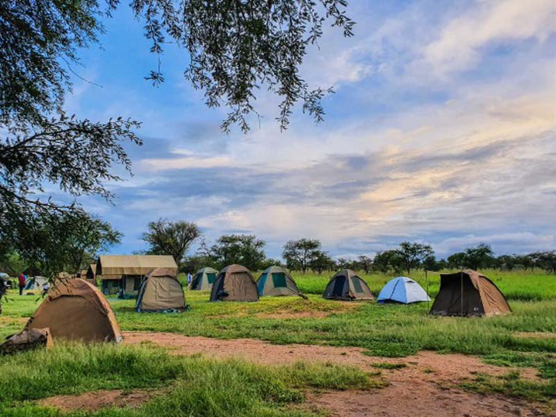 Mto wa Mbu - Serengeti National Park photo 2