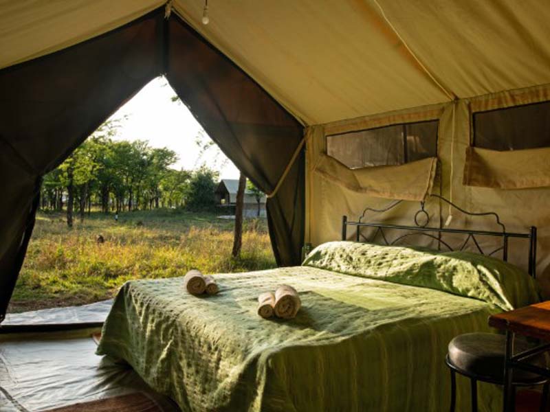 Arusha Town → Serengeti National Park photo 2