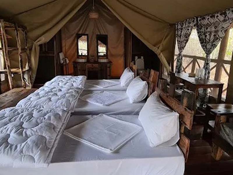 Transfer to Nyerere National Park for Sunset Boat Safari photo 2