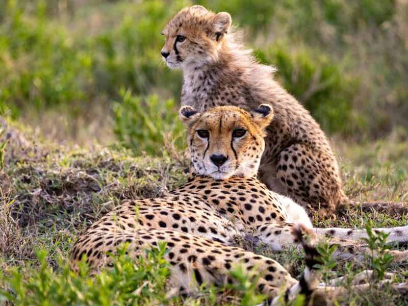 Kilimanjaro International Airport - Arusha Town photo 1