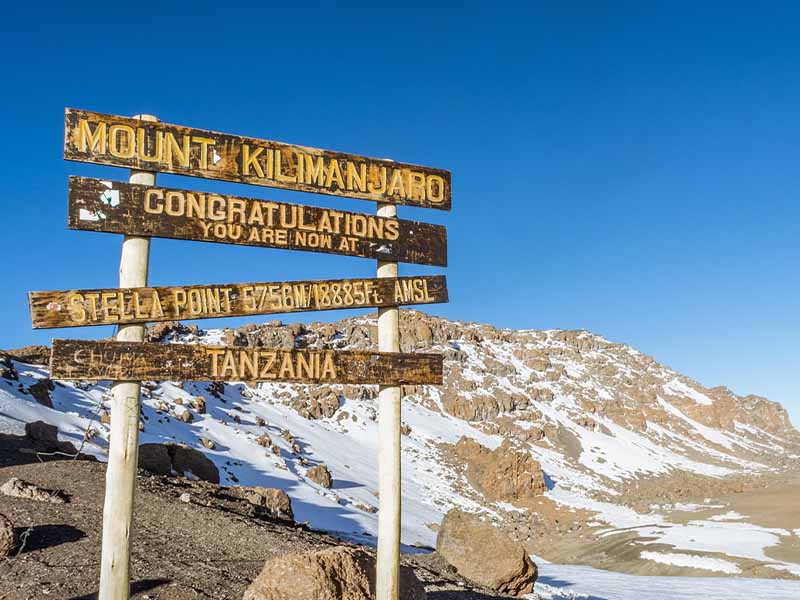Kilimanjaro International Airport - Your pre-climb lodge photo 1
