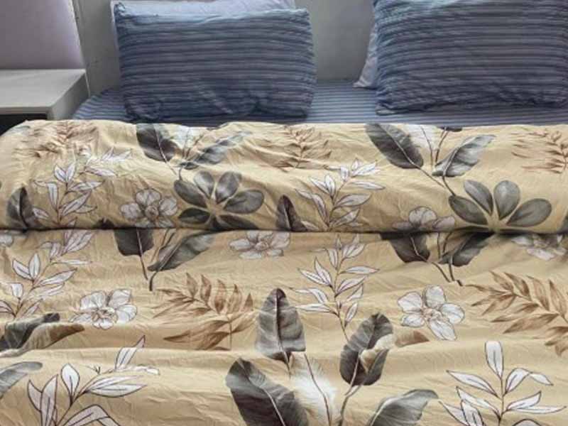 Full-Day Forest & Waterfall Hike photo 1