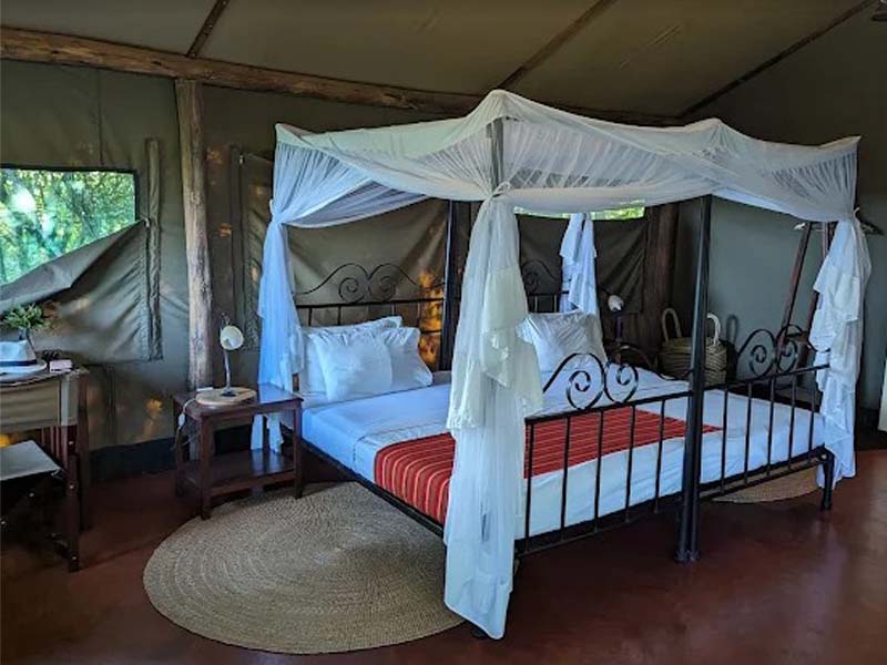 Arusha Town- Lake Manyara National Park - Mto Wa Mbu photo 2