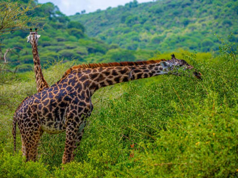 Day description photo 1