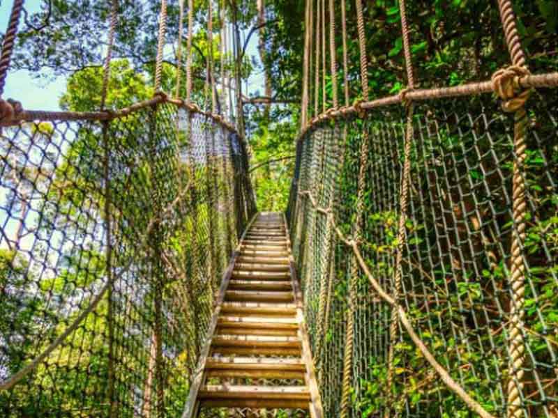 Arusha – Mto wa Mbu Cultural Tour & Lake Manyara Canopy Walk photo 2