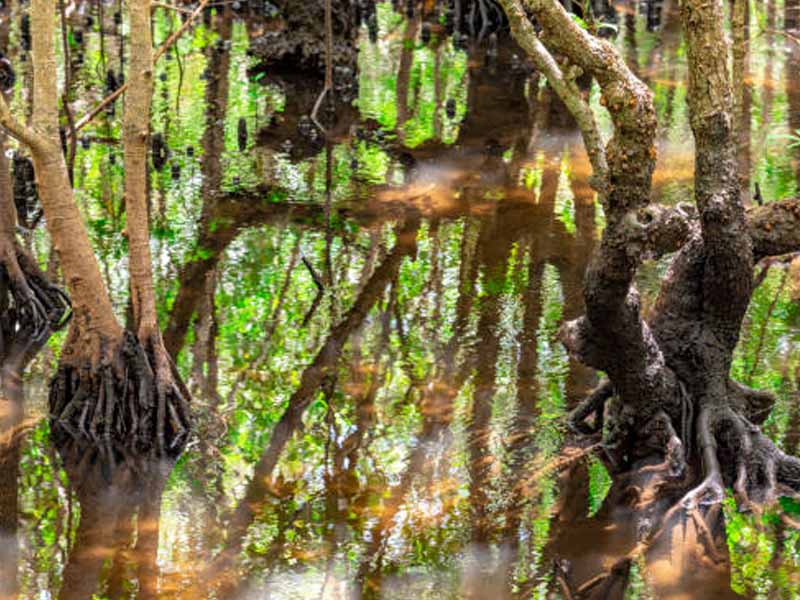 Day description photo 2