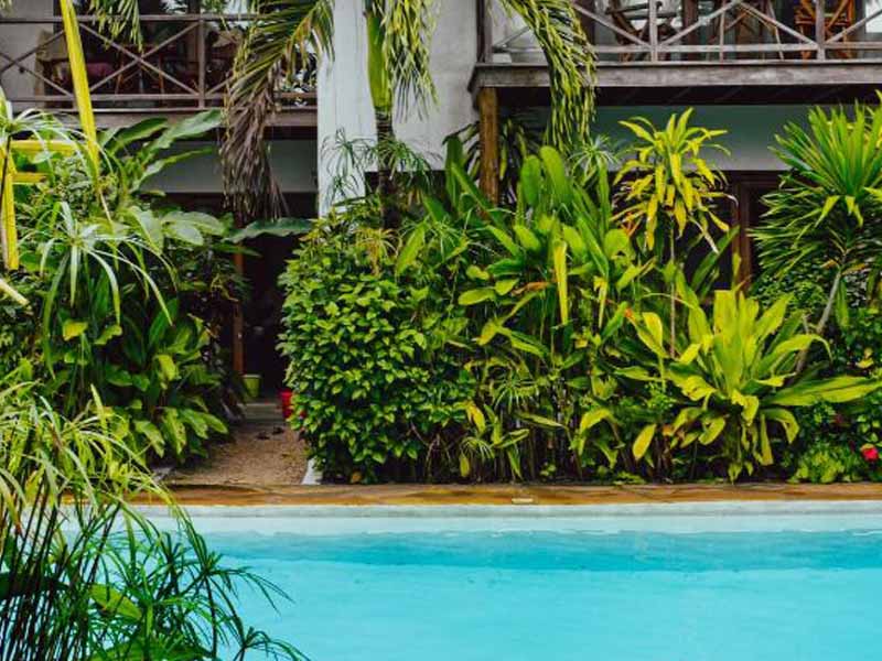 Stone Town and Spice tour photo 1