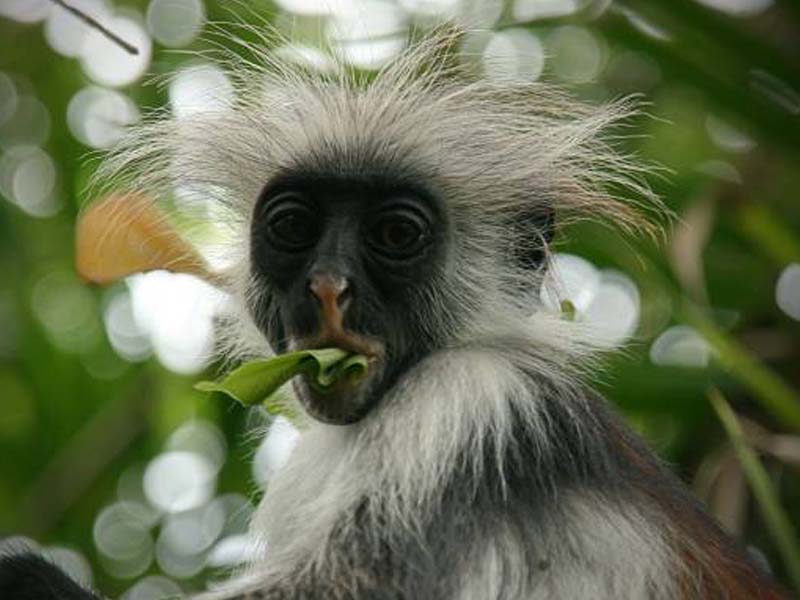 Day description photo 1