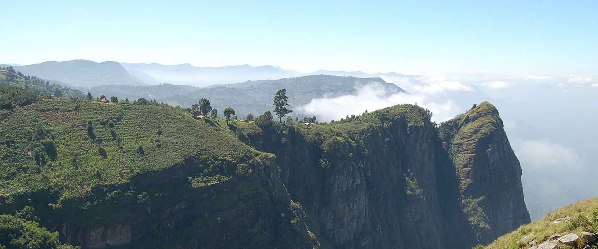 From Usambara to Usambara Mountains photo 1