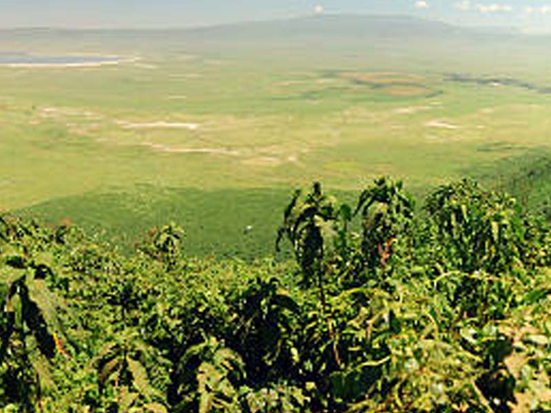 From Karatu to Ngorongoro crater photo 2