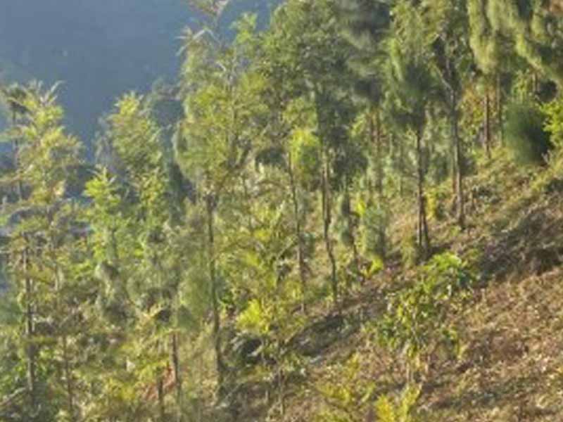 From Moshi to Lushoto & Village Walk photo 2