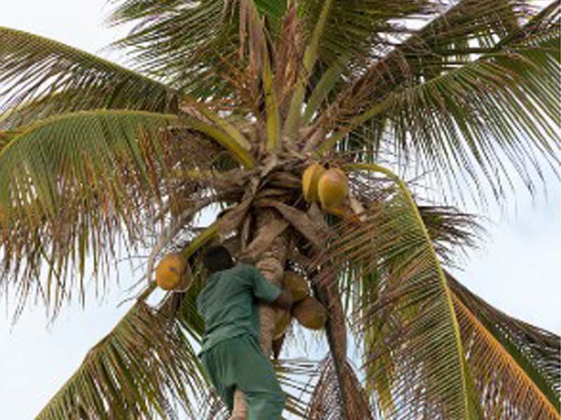 Organic Village Farm Tour photo 2