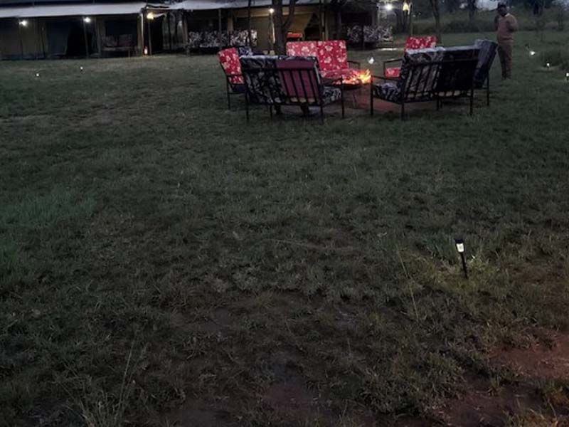 Full Day Central Serengeti Game Drive photo 1