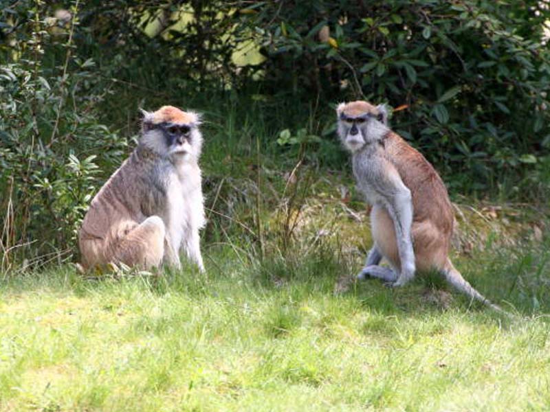 From Arusha City to Arusha National Park photo 1