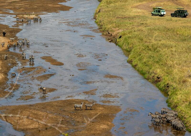 Arusha Town - Serengeti National Park photo 1