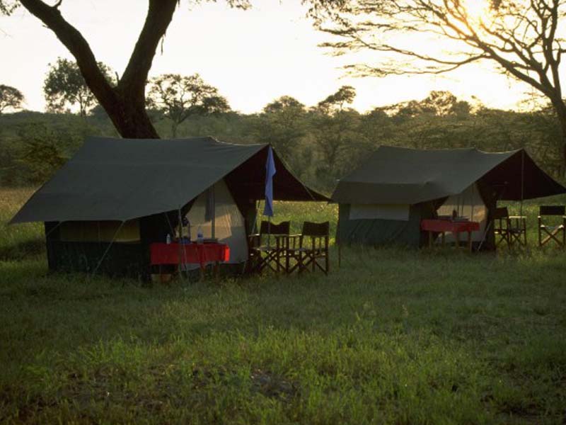Serengeti National Park (Seronera) Full Day photo 2