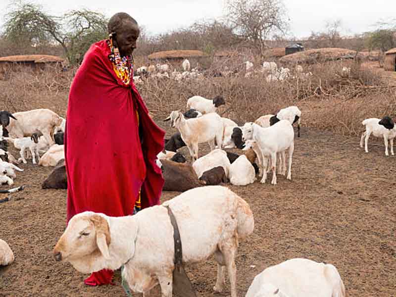 Arusha/Moshi - Sanya Juu (West Kilimanjaro) photo 1