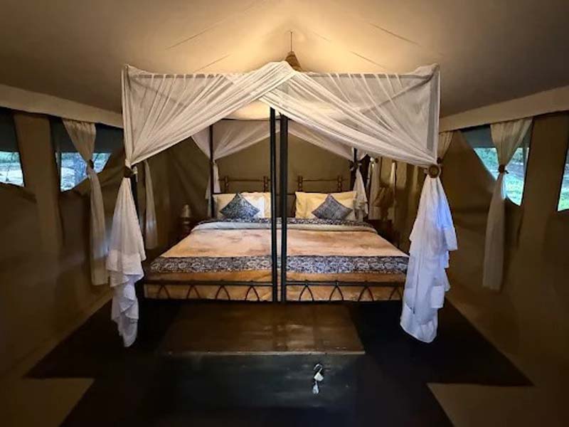 Serengeti National Park - Ngorongoro Crater photo 2