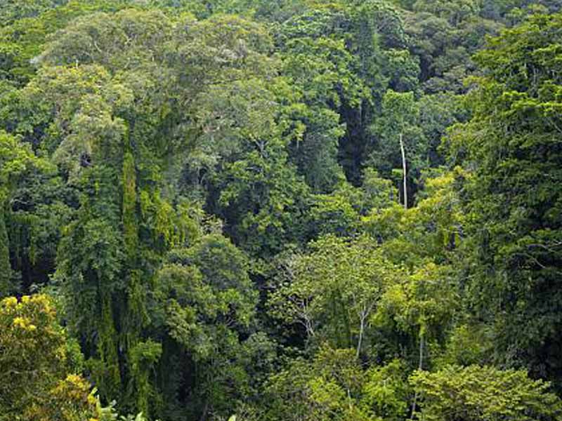 Day description photo 1